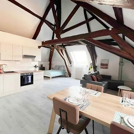 Appartement Charme plein cœur Auxerre Extérieur photo
